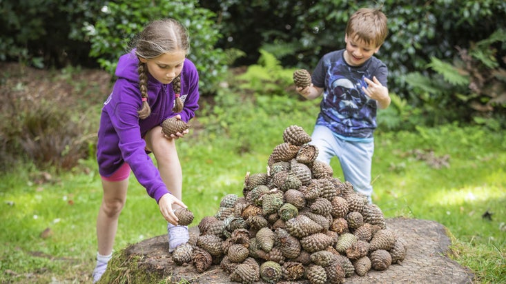A boy and a girl stacking pine cones on a tree stump